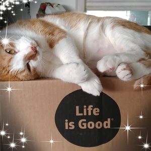 Meet your Posher, Sharon